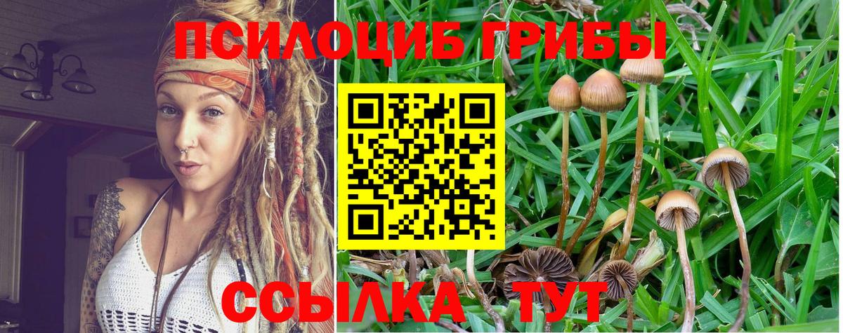 Псилоцибиновые грибы GOLDEN TEACHER Кумертау