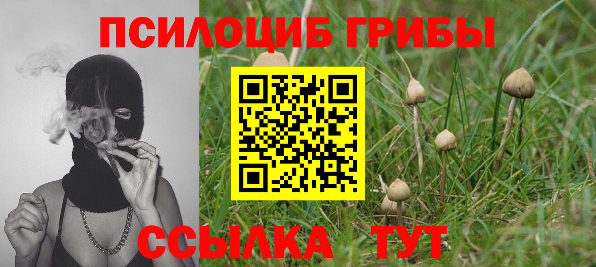 Псилоцибиновые грибы MAGIC MUSHROOMS  Вход с VPN  Кумертау 